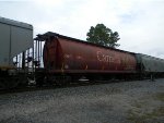 CN 111713 is new to RRPA!